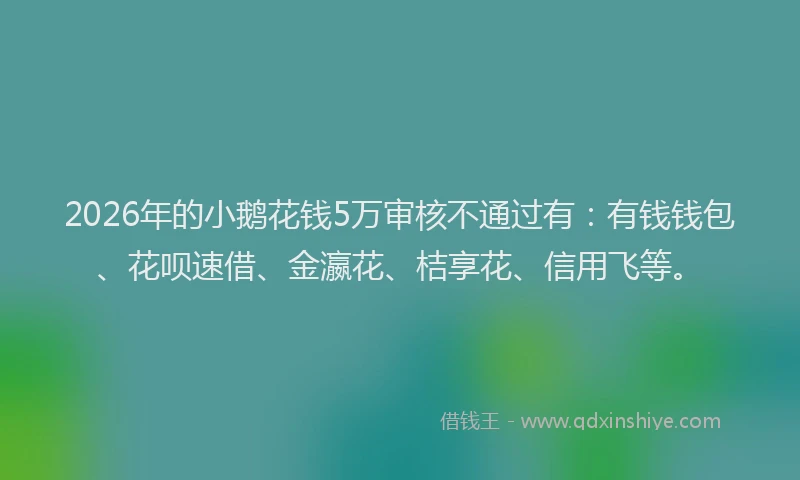 2026年的小鹅花钱5万审核不通过有：有钱钱包、花呗速借、金瀛花、桔享花、信用飞等。