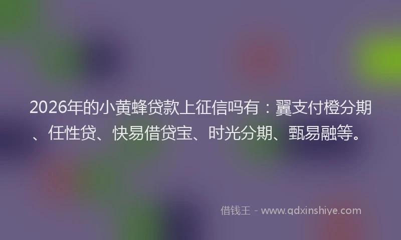 2026年的小黄蜂贷款上征信吗有：翼支付橙分期、任性贷、快易借贷宝、时光分期、甄易融等。