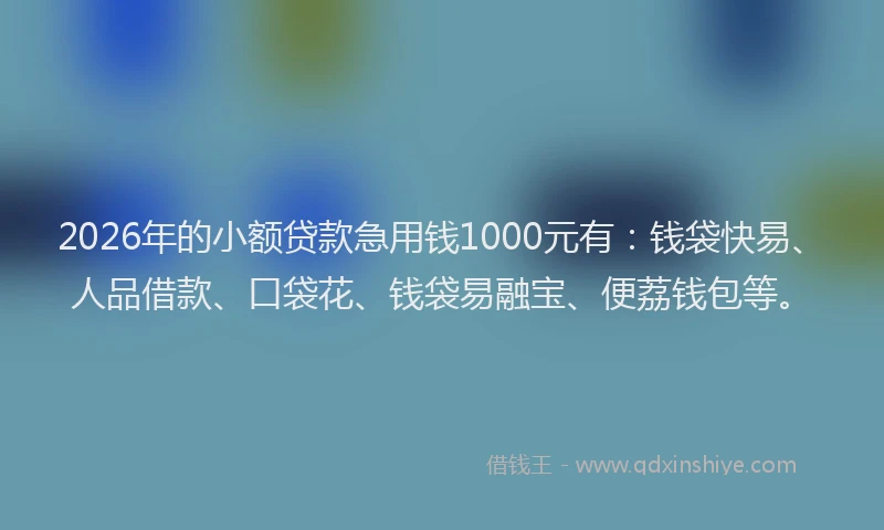2026年的小额贷款急用钱1000元有：钱袋快易、人品借款、口袋花、钱袋易融宝、便荔钱包等。