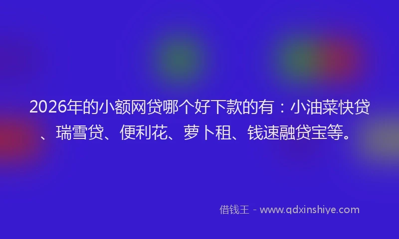 2026年的小额网贷哪个好下款的有：小油菜快贷、瑞雪贷、便利花、萝卜租、钱速融贷宝等。