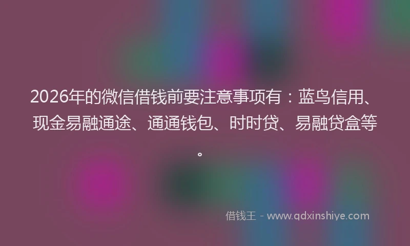 2026年的微信借钱前要注意事项有：蓝鸟信用、现金易融通途、通通钱包、时时贷、易融贷盒等。
