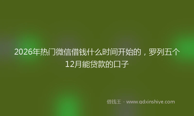 2026年热门微信借钱什么时间开始的，罗列五个12月能贷款的口子