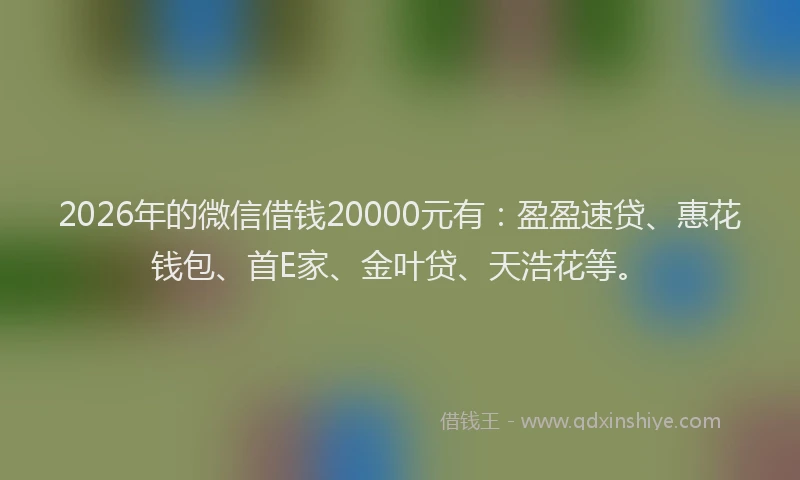 2026年的微信借钱20000元有：盈盈速贷、惠花钱包、首E家、金叶贷、天浩花等。