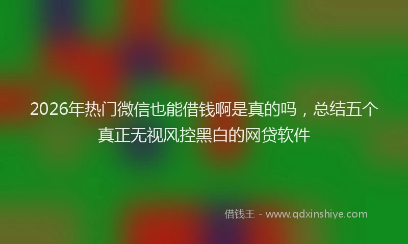 2026年热门微信也能借钱啊是真的吗，总结五个真正无视风控黑白的网贷软件
