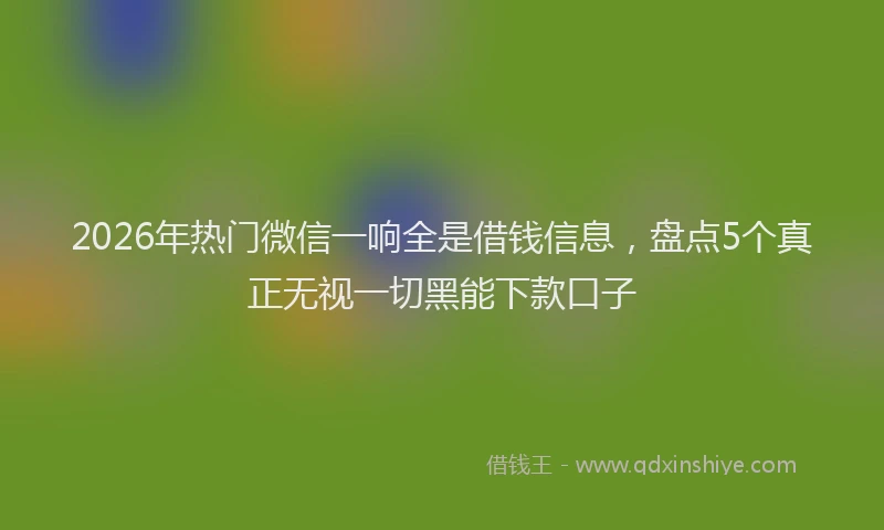 2026年热门微信一响全是借钱信息，盘点5个真正无视一切黑能下款口子