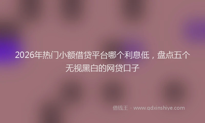 2026年热门小额借贷平台哪个利息低，盘点五个无视黑白的网贷口子