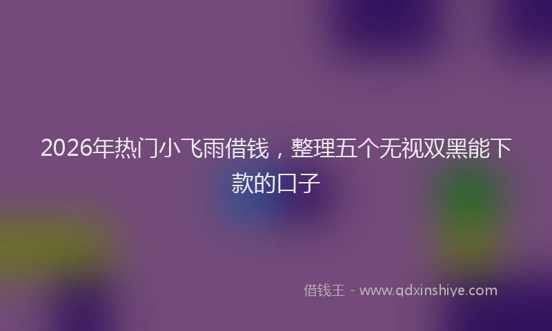 2026年热门小飞雨借钱，整理五个无视双黑能下款的口子