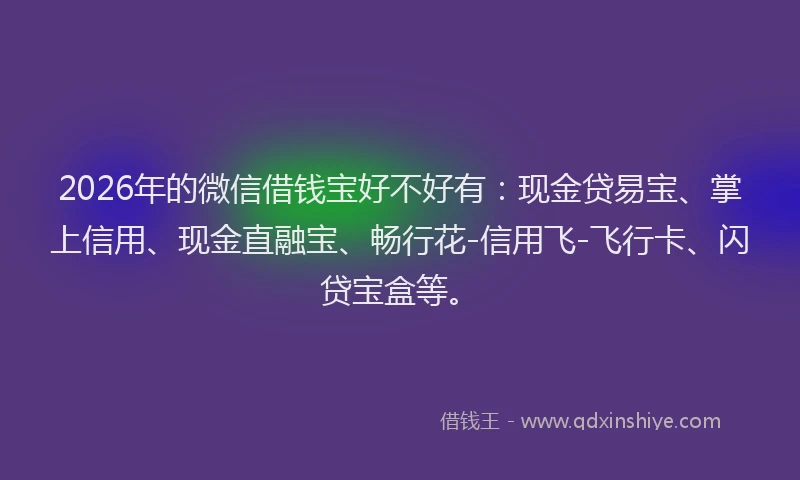 2026年的微信借钱宝好不好有:现金贷易宝、掌上信用、现金直融宝、畅行花-信用飞-飞行卡、闪贷宝盒等。