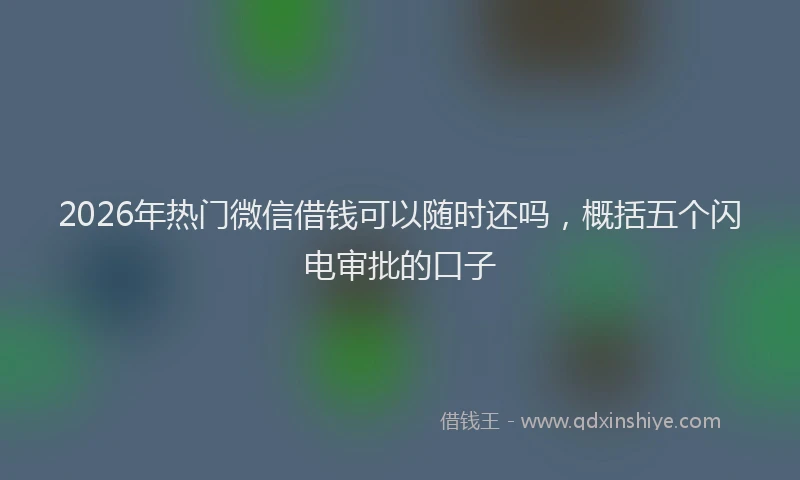 2026年热门微信借钱可以随时还吗，概括五个闪电审批的口子