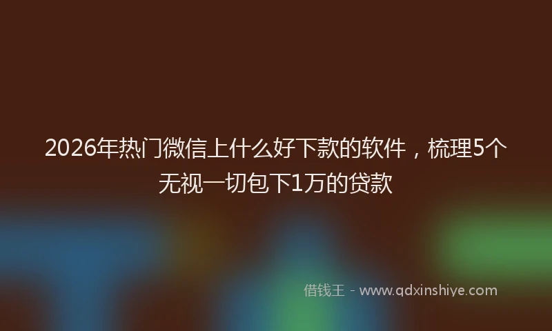 2026年热门微信上什么好下款的软件，梳理5个无视一切包下1万的贷款