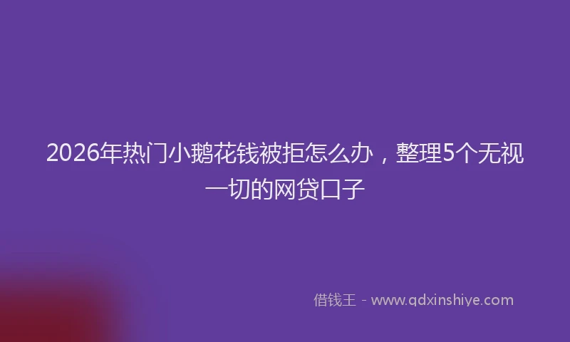 2026年热门小鹅花钱被拒怎么办，整理5个无视一切的网贷口子