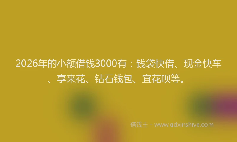 2026年的小额借钱3000有：钱袋快借、现金快车、享来花、钻石钱包、宜花呗等。