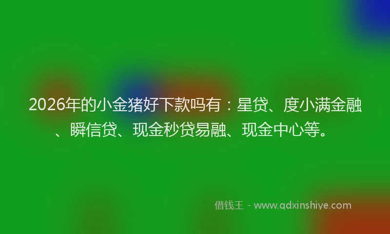 2026年的小金猪好下款吗有：星贷、度小满金融、瞬信贷、现金秒贷易融、现金中心等。