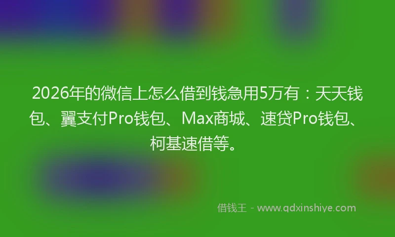 2026年的微信上怎么借到钱急用5万有：天天钱包、翼支付Pro钱包、Max商城、速贷Pro钱包、柯基速借等。
