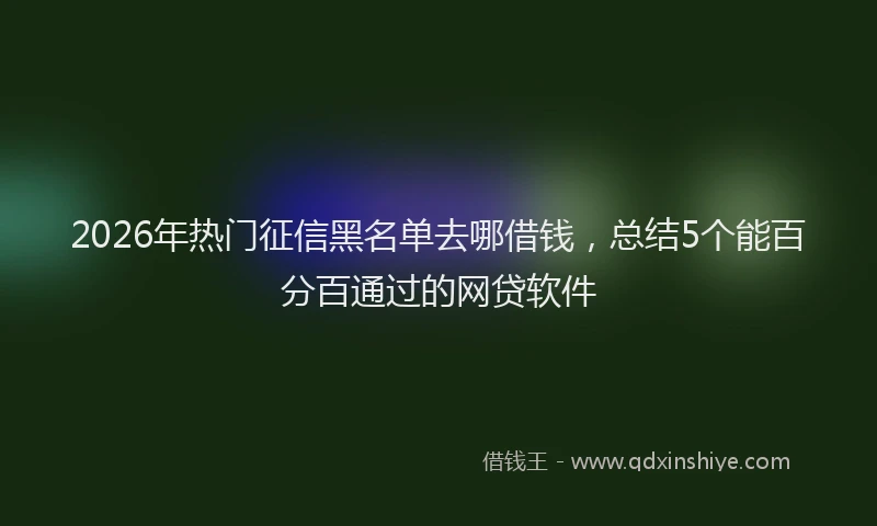 2026年热门征信黑名单去哪借钱，总结5个能百分百通过的网贷软件