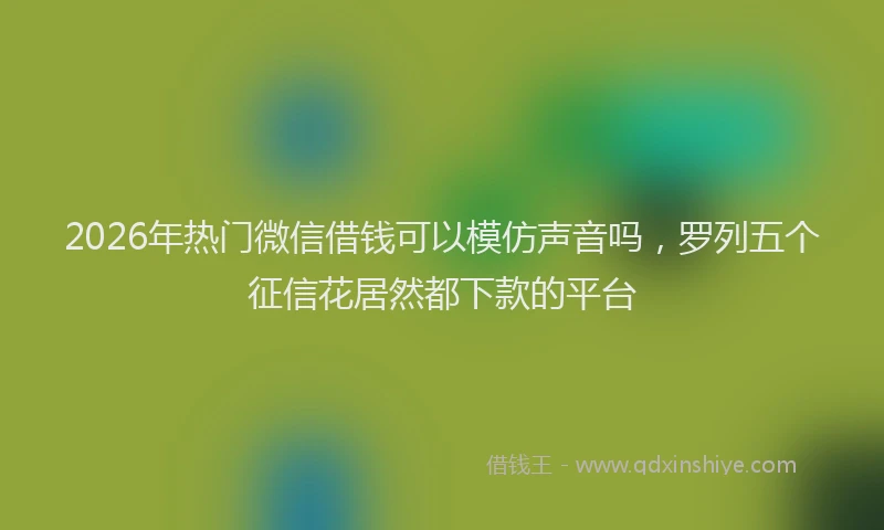 2026年热门微信借钱可以模仿声音吗，罗列五个征信花居然都下款的平台
