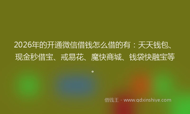 2026年的开通微信借钱怎么借的有：天天钱包、现金秒借宝、戒易花、魔快商城、钱袋快融宝等。