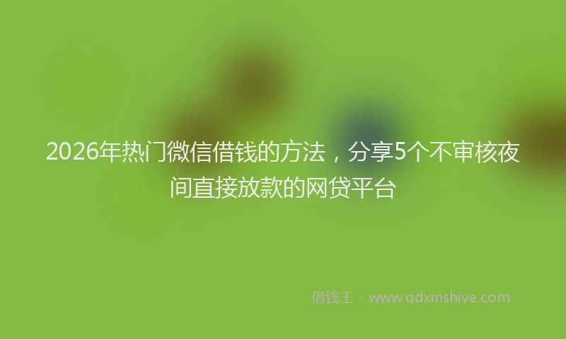 2026年热门微信借钱的方法，分享5个不审核夜间直接放款的网贷平台