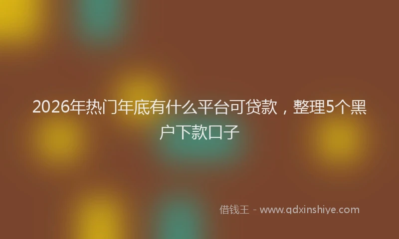 2026年热门年底有什么平台可贷款，整理5个黑户下款口子