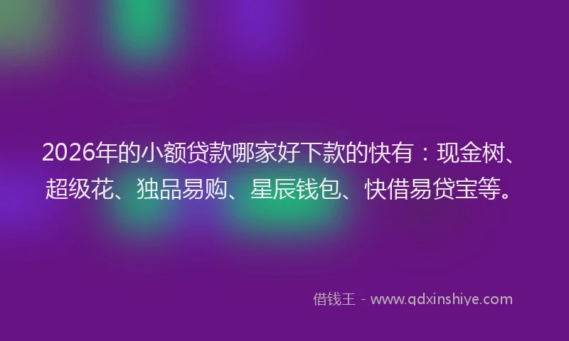 2026年的小额贷款哪家好下款的快有：现金树、超级花、独品易购、星辰钱包、快借易贷宝等。