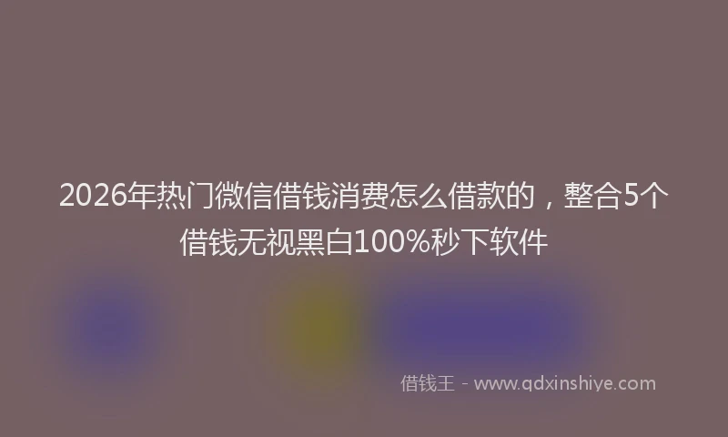 2026年热门微信借钱消费怎么借款的，整合5个借钱无视黑白100%秒下软件
