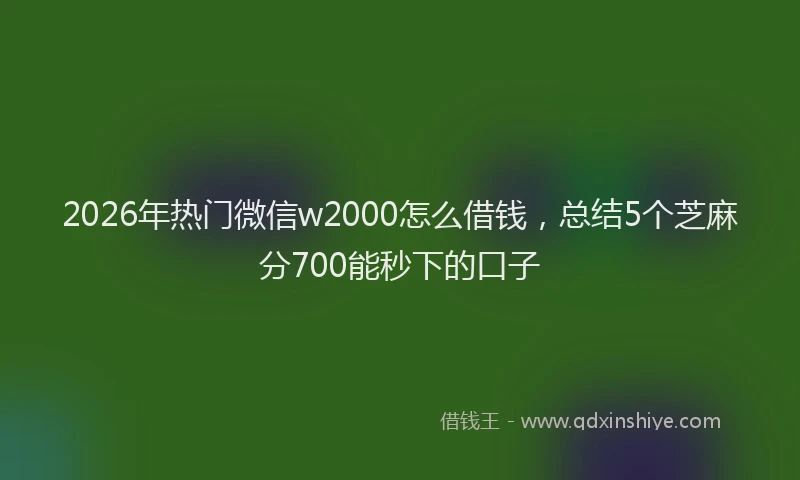 2026年热门微信w2000怎么借钱，总结5个芝麻分700能秒下的口子
