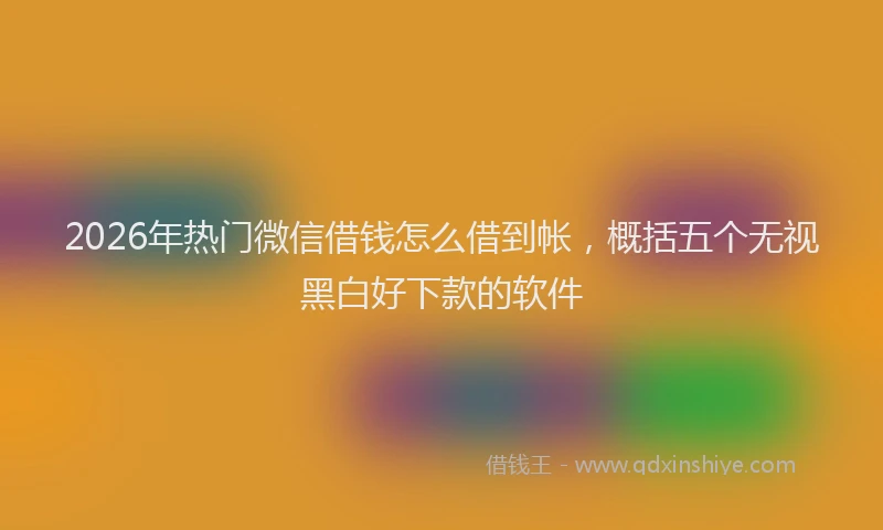2026年热门微信借钱怎么借到帐，概括五个无视黑白好下款的软件