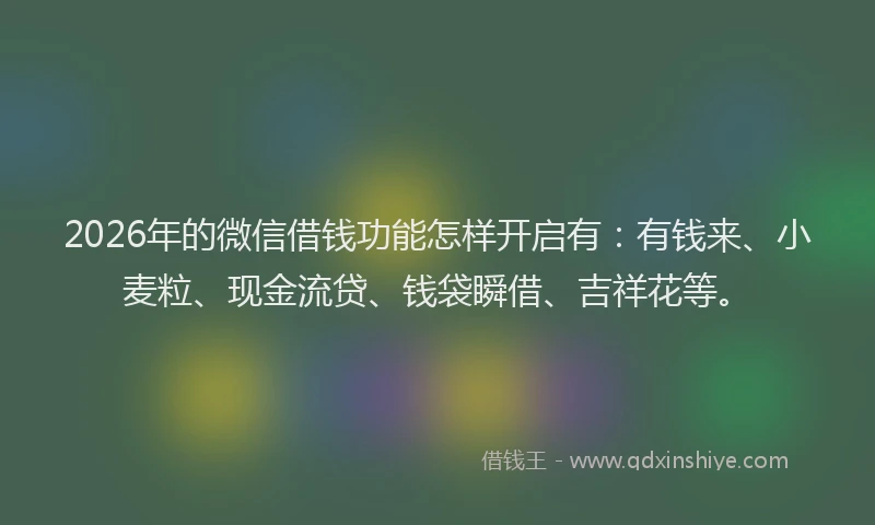 2026年的微信借钱功能怎样开启有：有钱来、小麦粒、现金流贷、钱袋瞬借、吉祥花等。