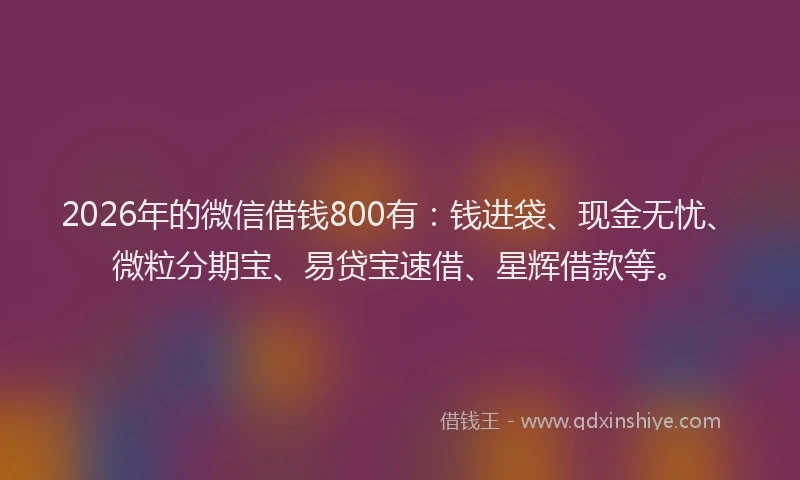 2026年的微信借钱800有：钱进袋、现金无忧、微粒分期宝、易贷宝速借、星辉借款等。