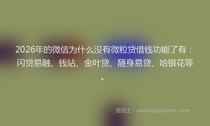 2026年的微信为什么没有微粒贷借钱功能了有：闪贷易融、钱站、金叶贷、随身易贷、哈银花等。