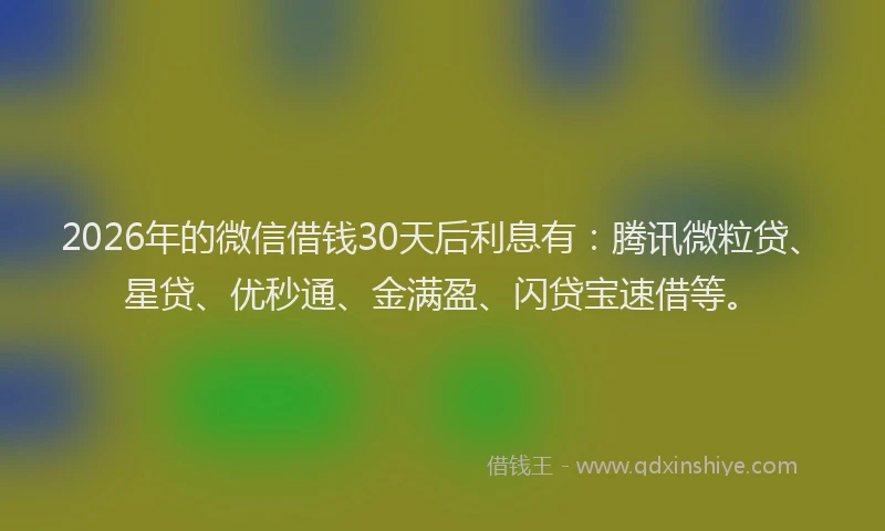 2026年的微信借钱30天后利息有：腾讯微粒贷、星贷、优秒通、金满盈、闪贷宝速借等。
