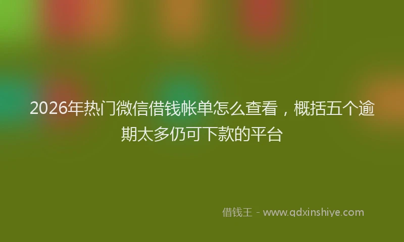2026年热门微信借钱帐单怎么查看，概括五个逾期太多仍可下款的平台