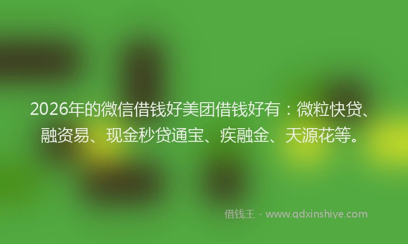 2026年的微信借钱好美团借钱好有：微粒快贷、融资易、现金秒贷通宝、疾融金、天源花等。