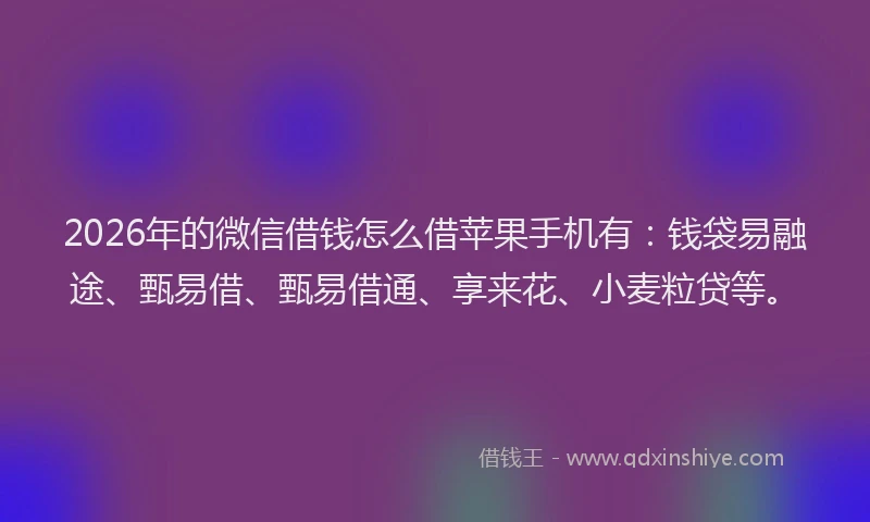 2026年的微信借钱怎么借苹果手机有：钱袋易融途、甄易借、甄易借通、享来花、小麦粒贷等。