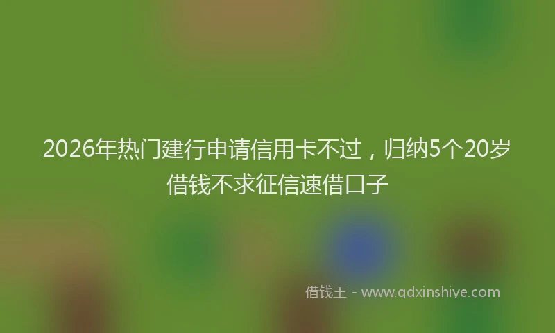 2026年热门建行申请信用卡不过，归纳5个20岁借钱不求征信速借口子