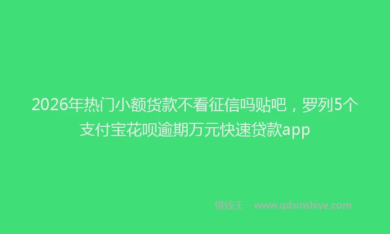 2026年热门小额货款不看征信吗贴吧，罗列5个支付宝花呗逾期万元快速贷款app