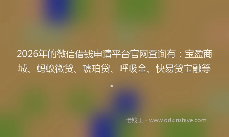 2026年的微信借钱申请平台官网查询有:宝盈商城、蚂蚁微贷、琥珀贷、呼吸金、快易贷宝融等。