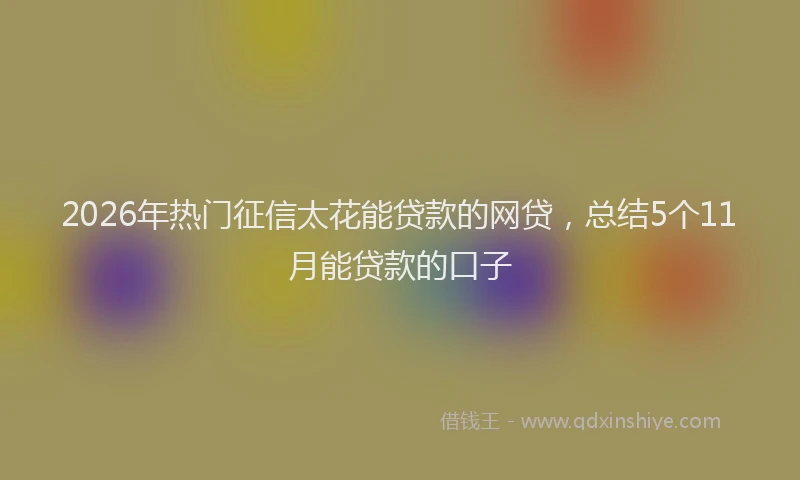 2026年热门征信太花能贷款的网贷，总结5个11月能贷款的口子