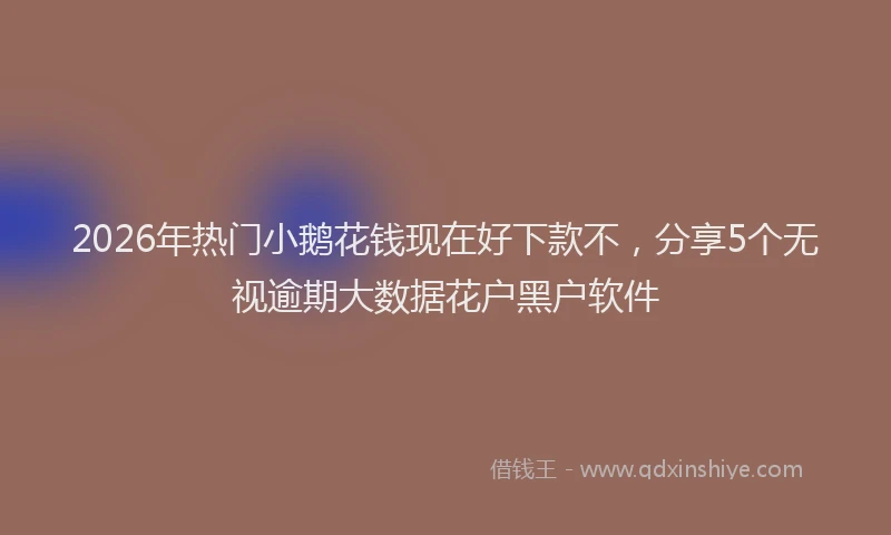 2026年热门小鹅花钱现在好下款不，分享5个无视逾期大数据花户黑户软件
