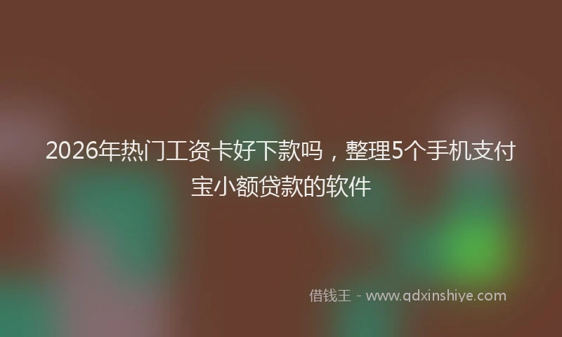2026年热门工资卡好下款吗，整理5个手机支付宝小额贷款的软件