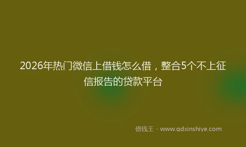 2026年热门微信上借钱怎么借，整合5个不上征信报告的贷款平台