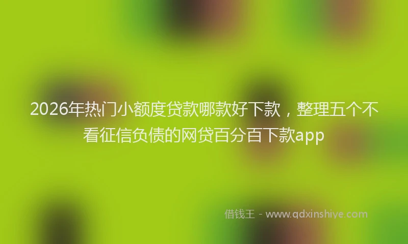 2026年热门小额度贷款哪款好下款，整理五个不看征信负债的网贷百分百下款app