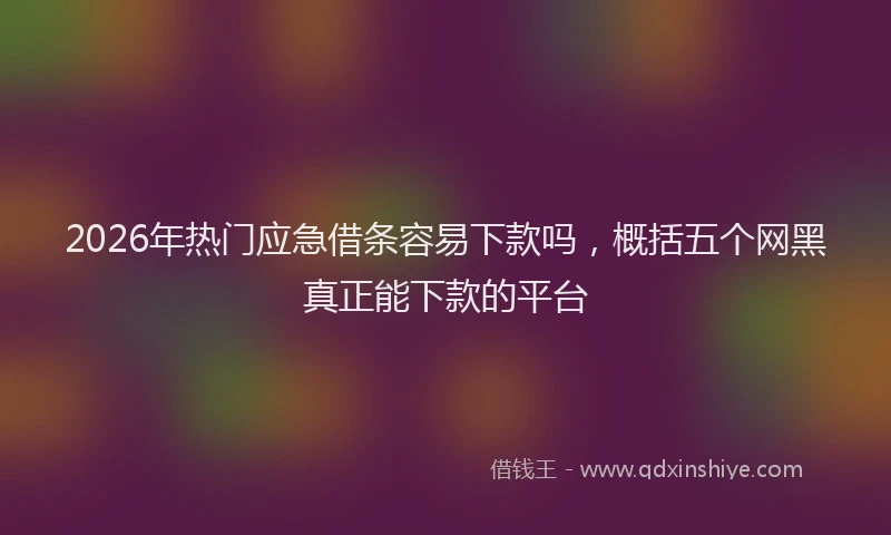 2026年热门应急借条容易下款吗，概括五个网黑真正能下款的平台