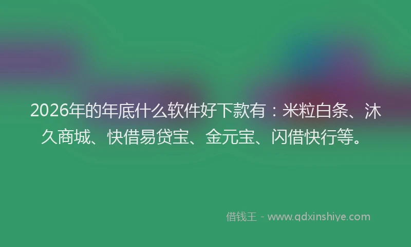 2026年的年底什么软件好下款有：米粒白条、沐久商城、快借易贷宝、金元宝、闪借快行等。