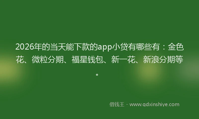 2026年的当天能下款的app小贷有哪些有:金色花、微粒分期、福星钱包、新一花、新浪分期等。