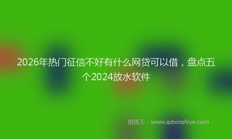 2026年热门征信不好有什么网贷可以借，盘点五个2024放水软件