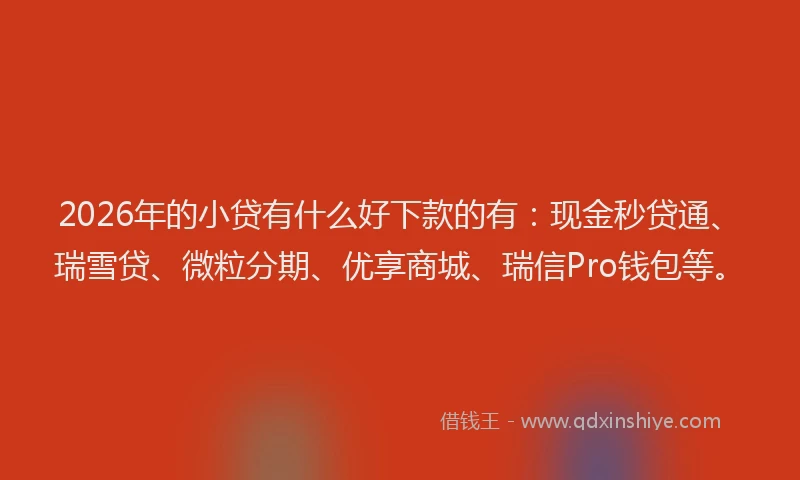 2026年的小贷有什么好下款的有：现金秒贷通、瑞雪贷、微粒分期、优享商城、瑞信Pro钱包等。