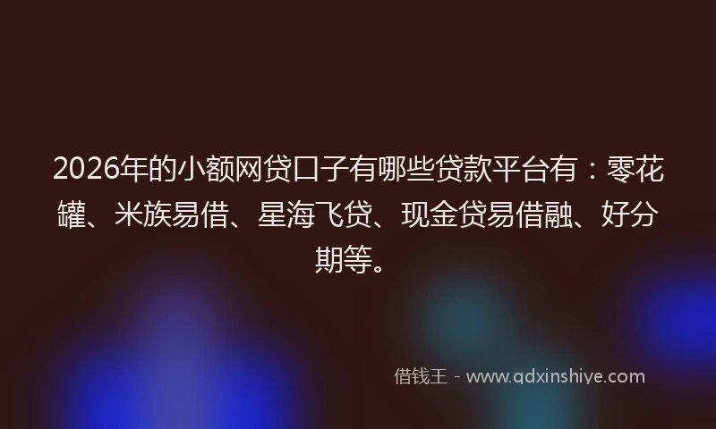 2026年的小额网贷口子有哪些贷款平台有：零花罐、米族易借、星海飞贷、现金贷易借融、好分期等。