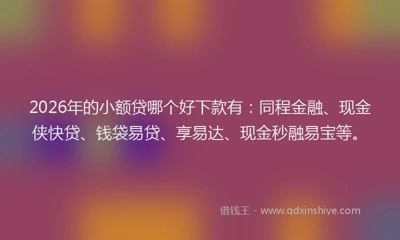 2026年的小额贷哪个好下款有：同程金融、现金侠快贷、钱袋易贷、享易达、现金秒融易宝等。