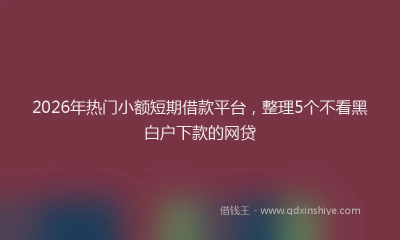 2026年热门小额短期借款平台，整理5个不看黑白户下款的网贷